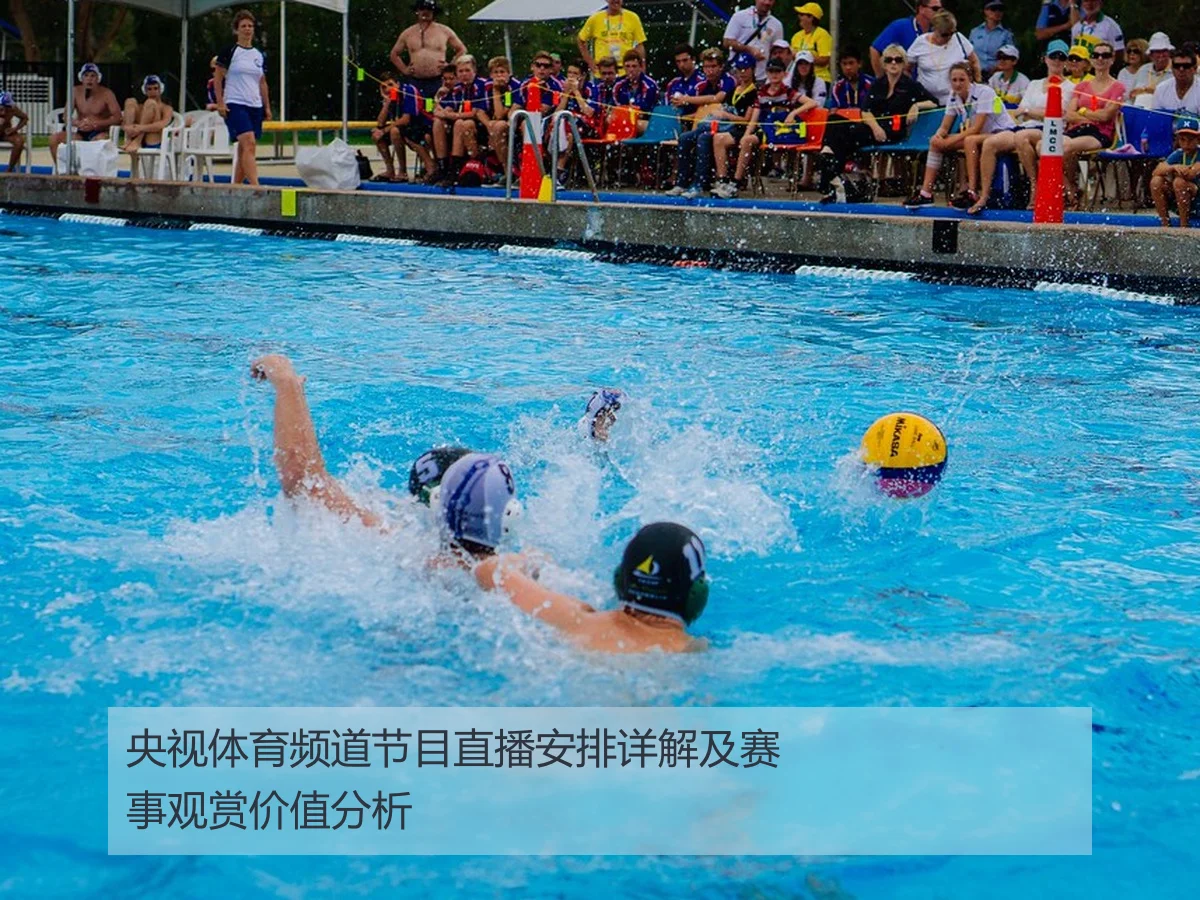 央视体育频道节目直播安排详解及赛事观赏价值分析
